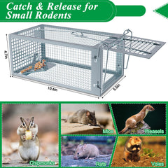 Wanqueen trap placed outside near a shed demonstrating safe outdoor rodent capture