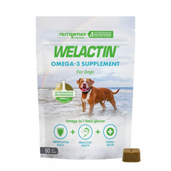 Nutramax Welactin frente del empaque mostrando 60 masticables, fácil identificación