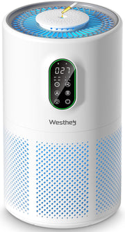 WESTHEY vista frontal del purificador con diseño 360° y entrada de aire