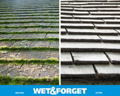 Wet & Forget comparación antes y después en patio, elimina moho y algas