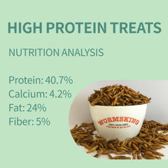 WORMSKING close-up of dried BSFL texture, highlighting high-protein appearance