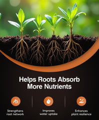 Close-up of Mykos granular mycorrhizae texture, showing easy-to-place inoculant