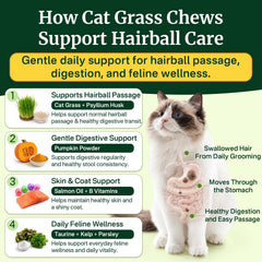 YOTANGO envase abierto con 500 unidades para cuidado diario