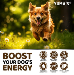 YUMA'S comparación de tamaño del masticable junto a una regla para dosificación