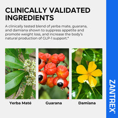 Zantrex etiqueta con lista de ingredientes para transparencia y confianza