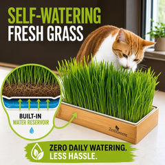 ZESTIGREENS lush wheatgrass ready to eat demonstrating healthy, edible greens