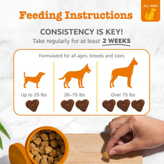 Zesty Paws ingredientes clave colostro probióticos y omega-3 resaltando beneficios