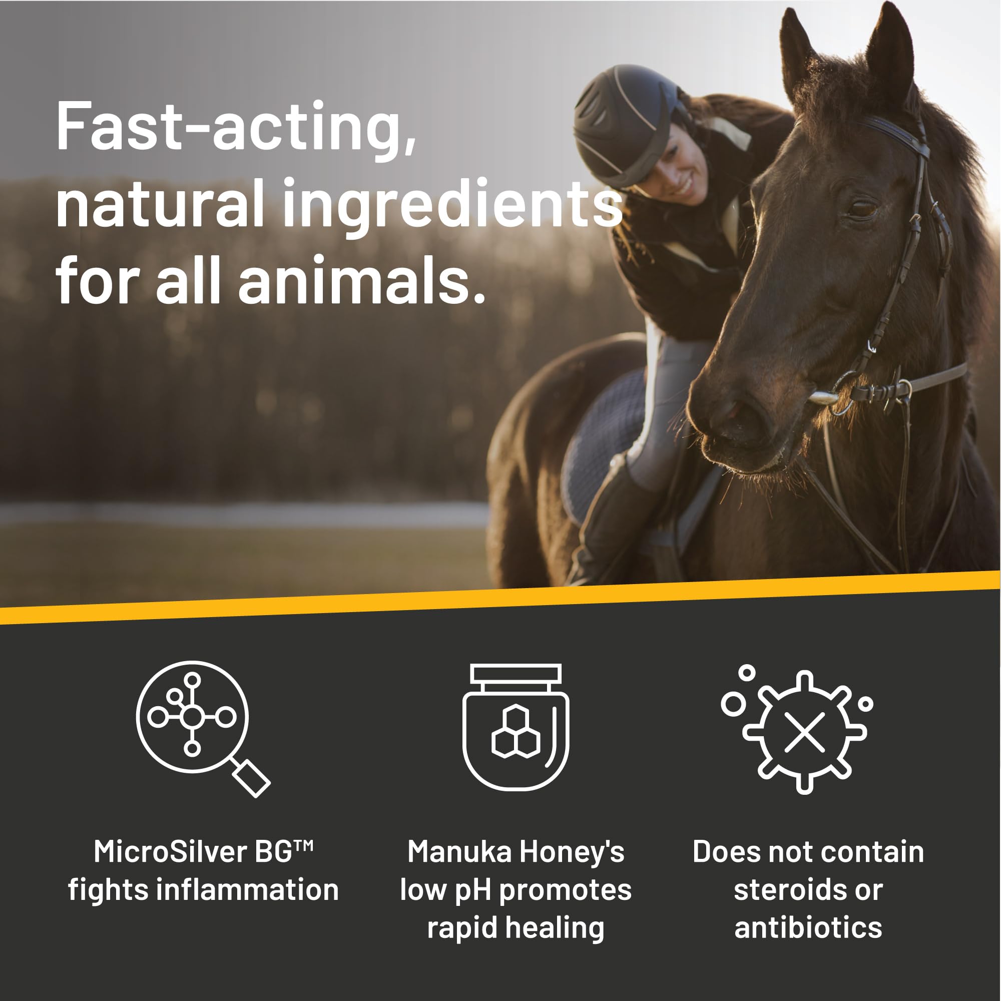 Absorbine Silver Honey etiqueta con ingredientes clave y beneficios visibles