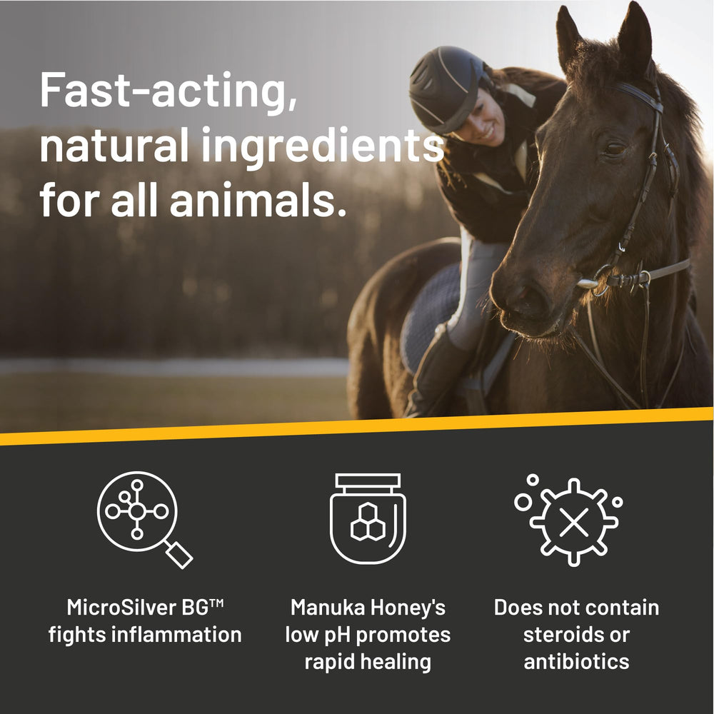 Absorbine Silver Honey etiqueta con ingredientes clave y beneficios visibles