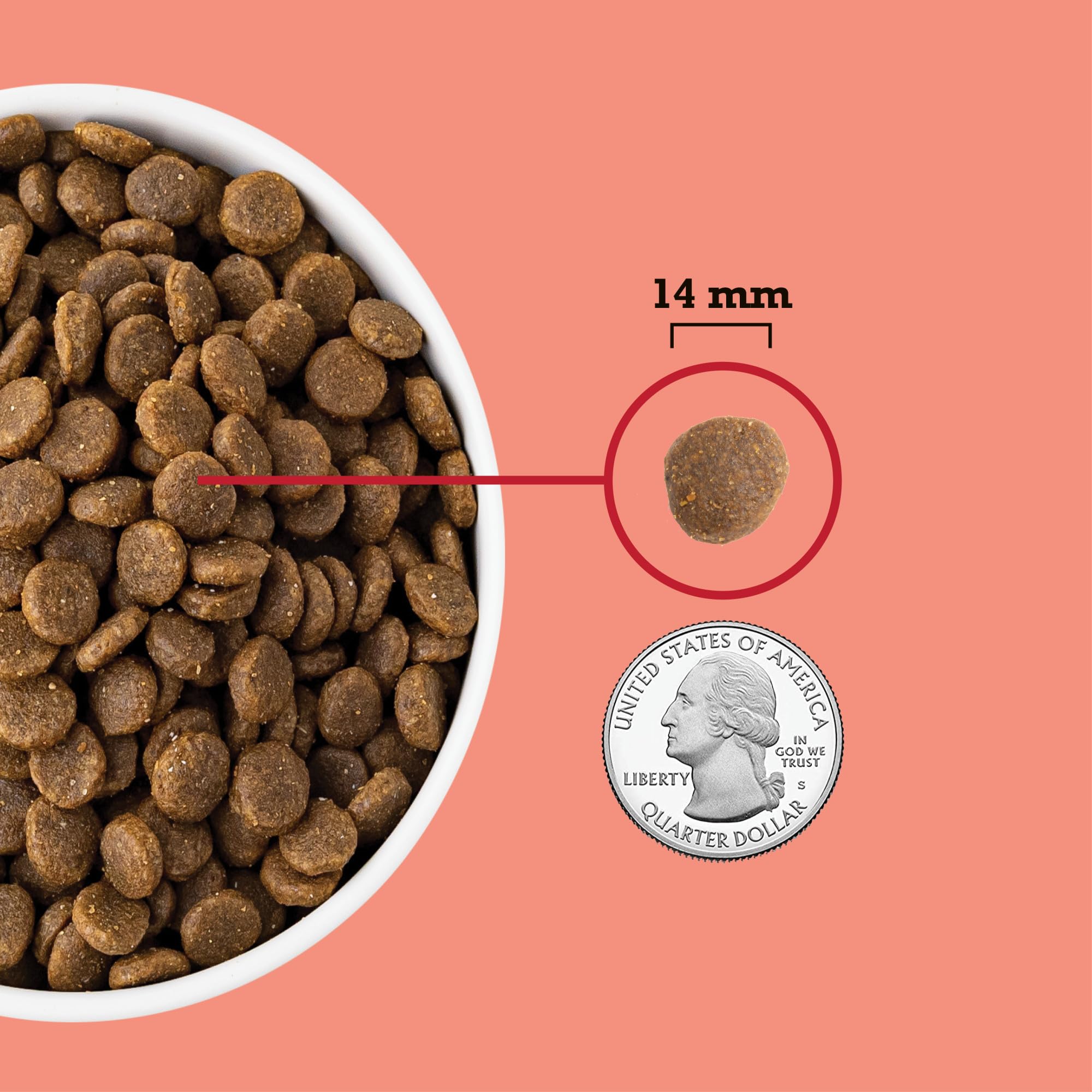 ACANA bowl served with kibble and coating for appetizing meal