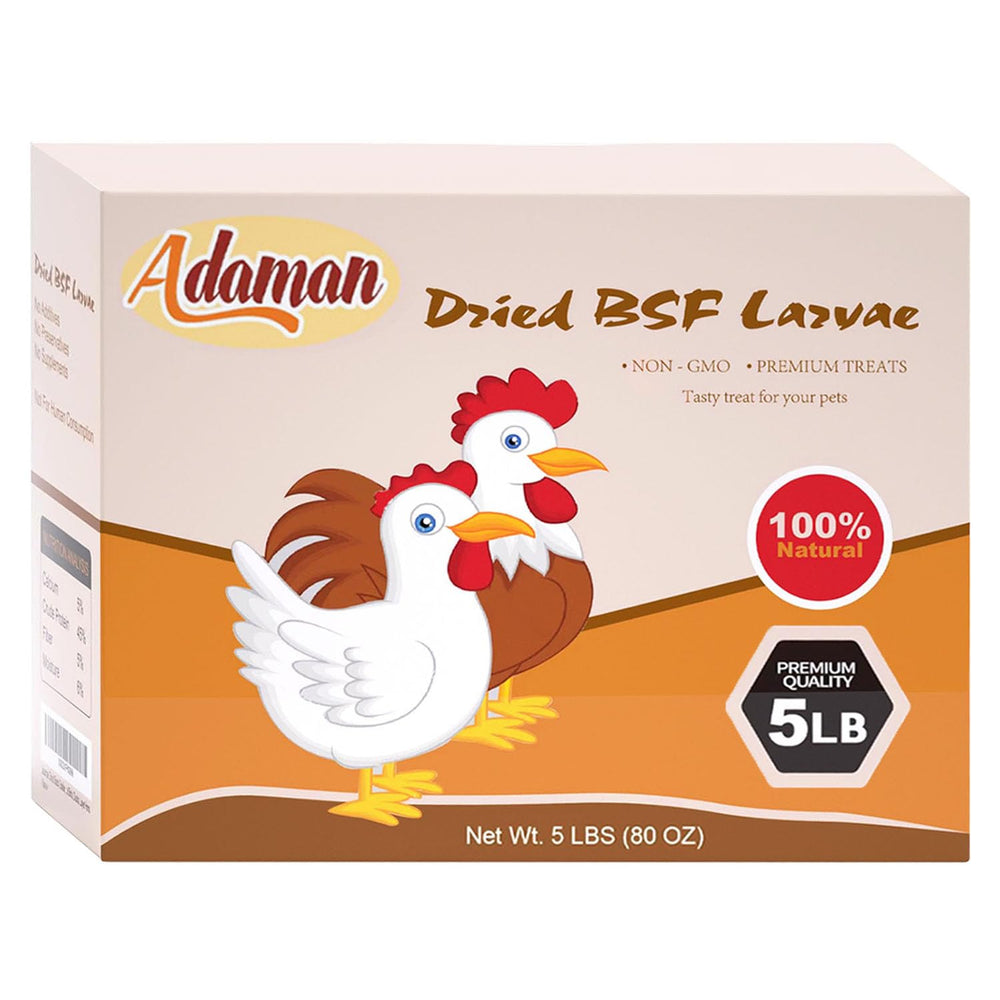 Adaman backyard flock scene illustrating product use and happy birds