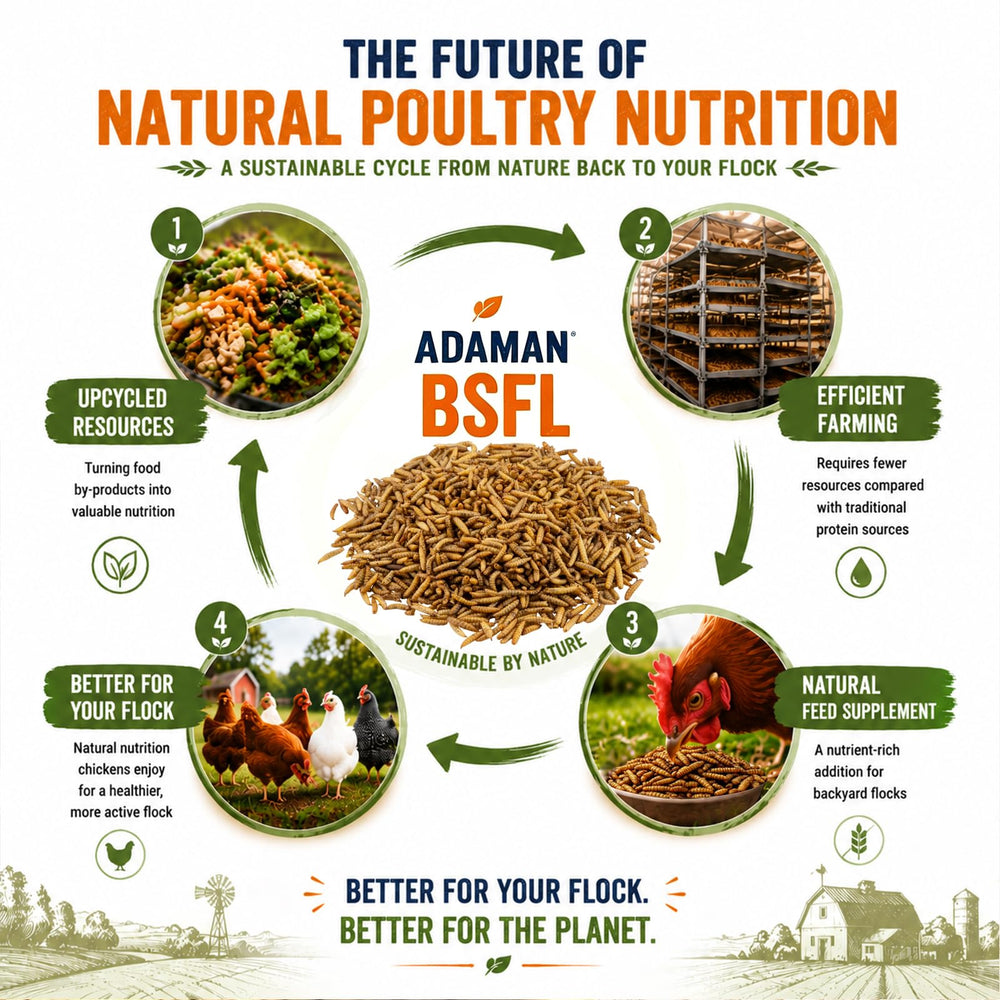 Adaman resealable zipper on pack preserving freshness and convenience