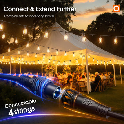 addlon spare bulbs and accessories displayed for easy replacement