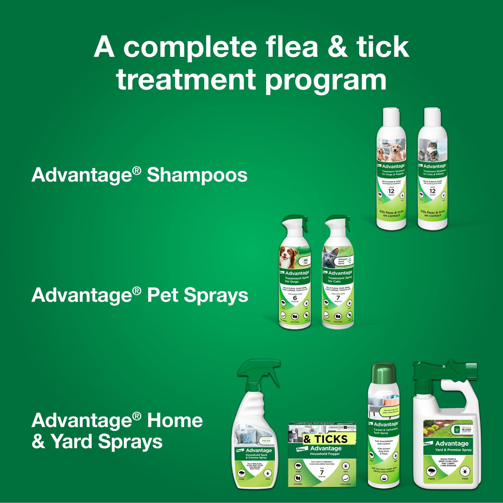 Advantage champú en uso dentro de casa para control ambiental