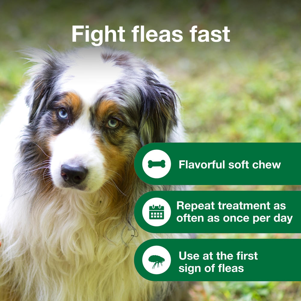 Dog happily accepting advantus chew, demonstrating easy acceptance and fast relief