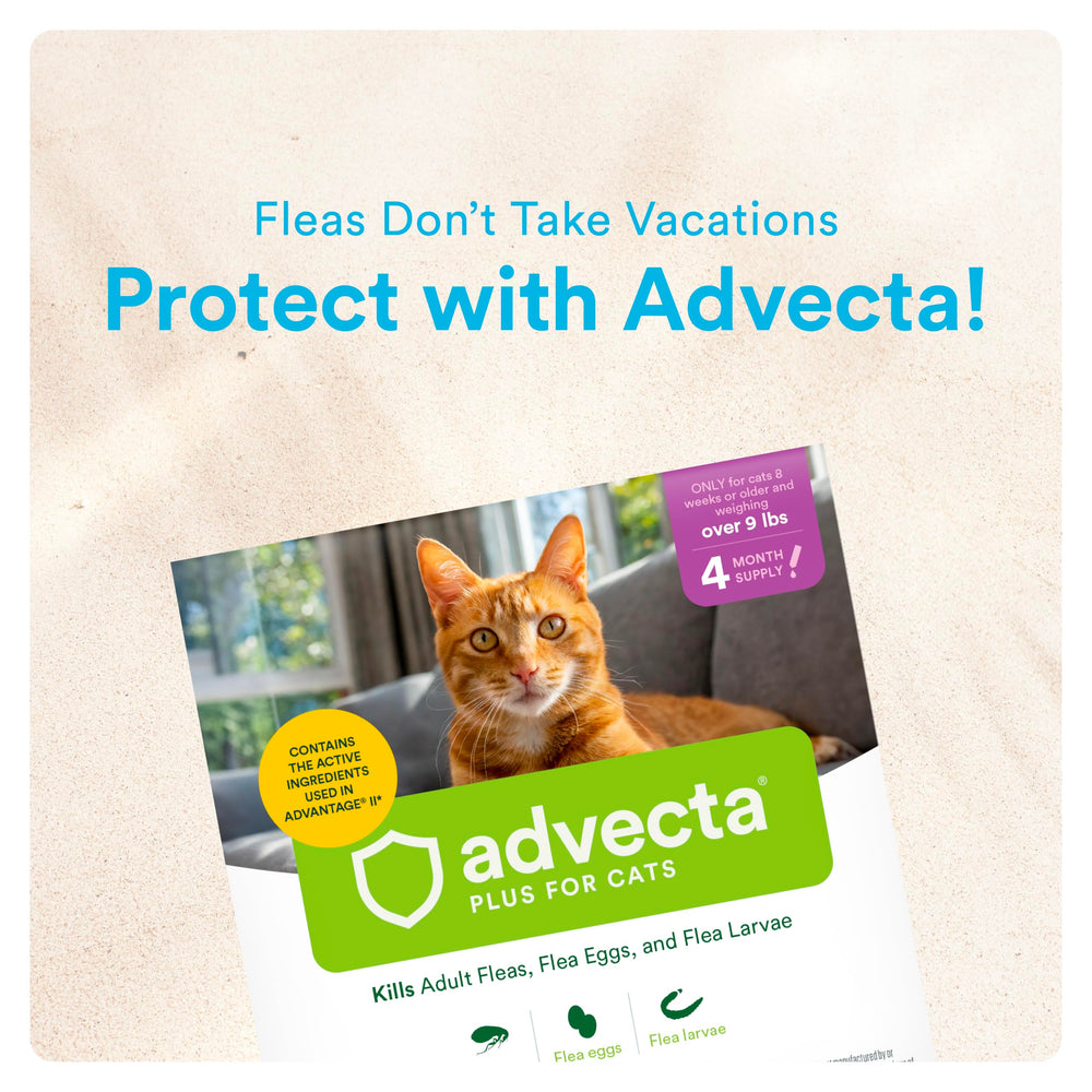 Advecta packaging lateral con instrucciones claras y uso conveniente