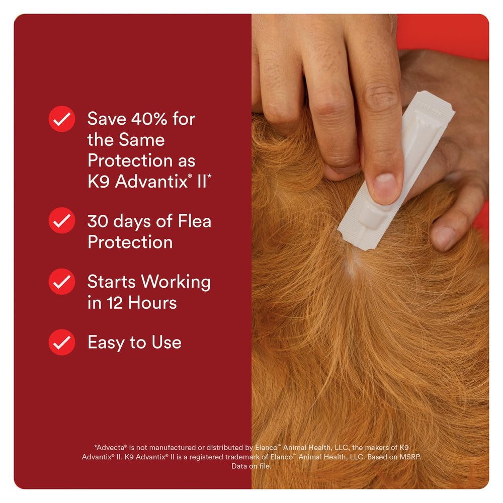 Advecta aplicación en perro grande ilustrando uso correcto y prevención