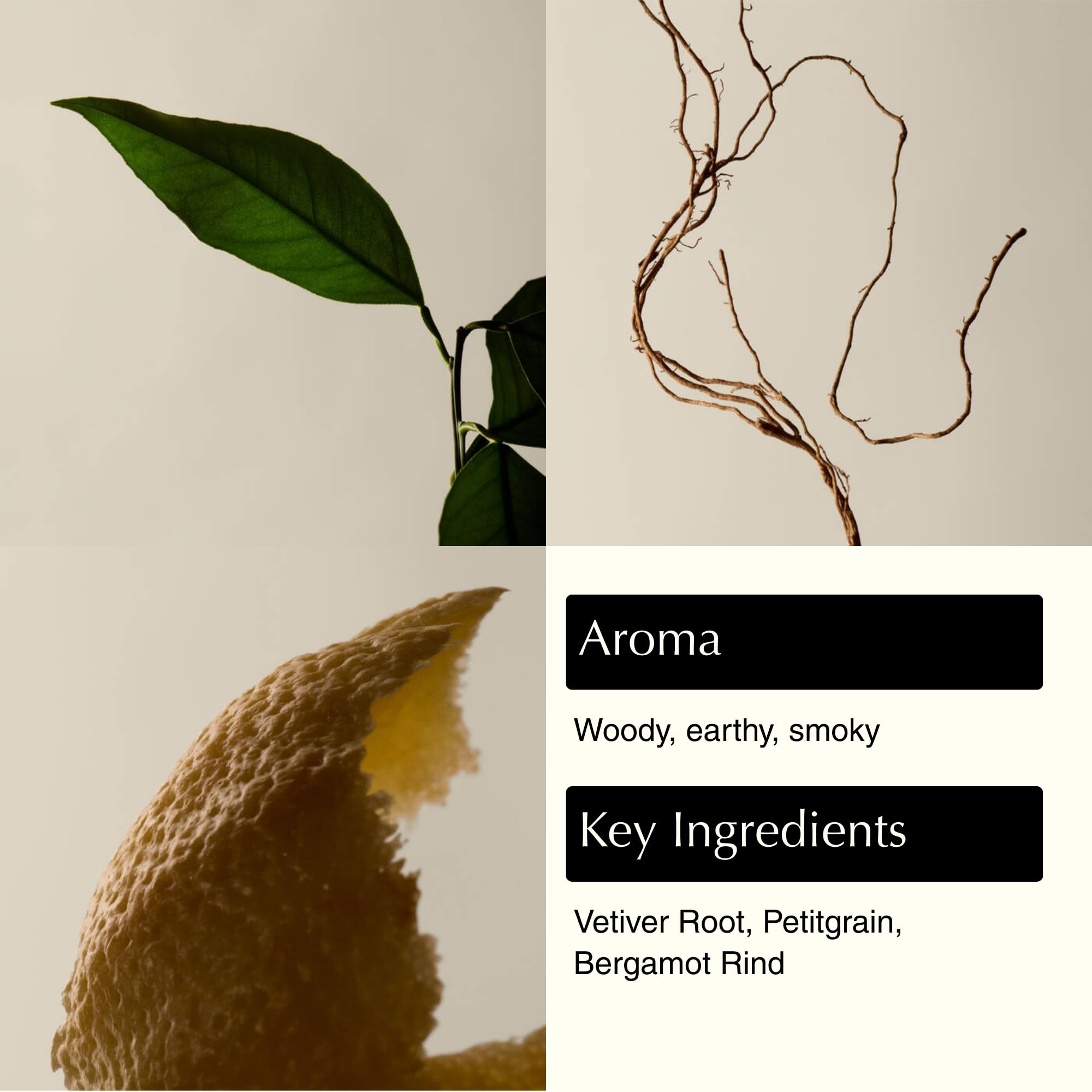 Aesop primer plano de textura con pumita mostrando exfoliación suave y pulido