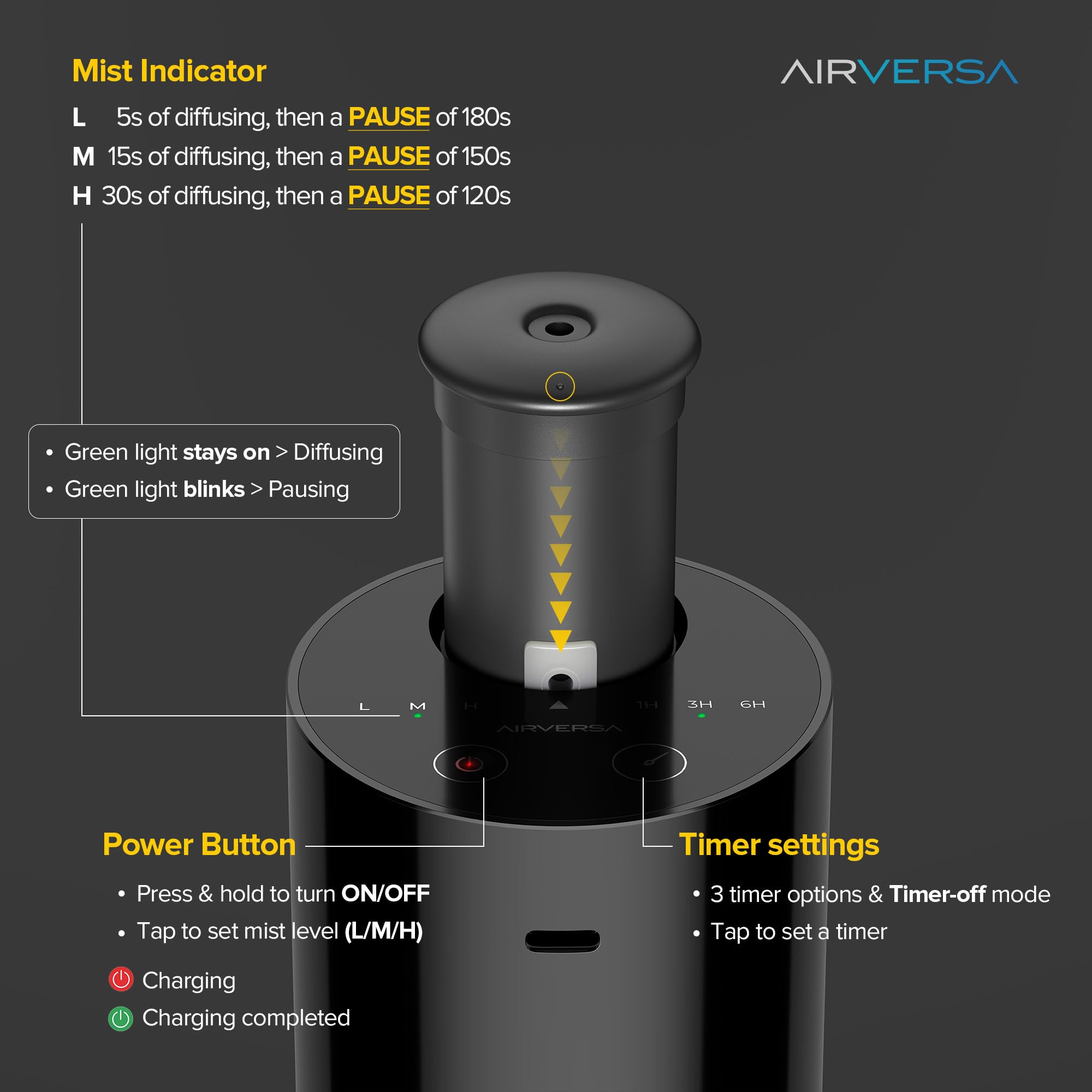 Airversa AN6 con botella de aceite enroscada para uso sencillo