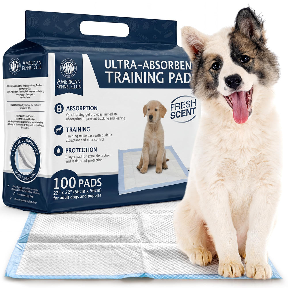 American Kennel Club front packaging showing 100-count pads and fresh scent benefit