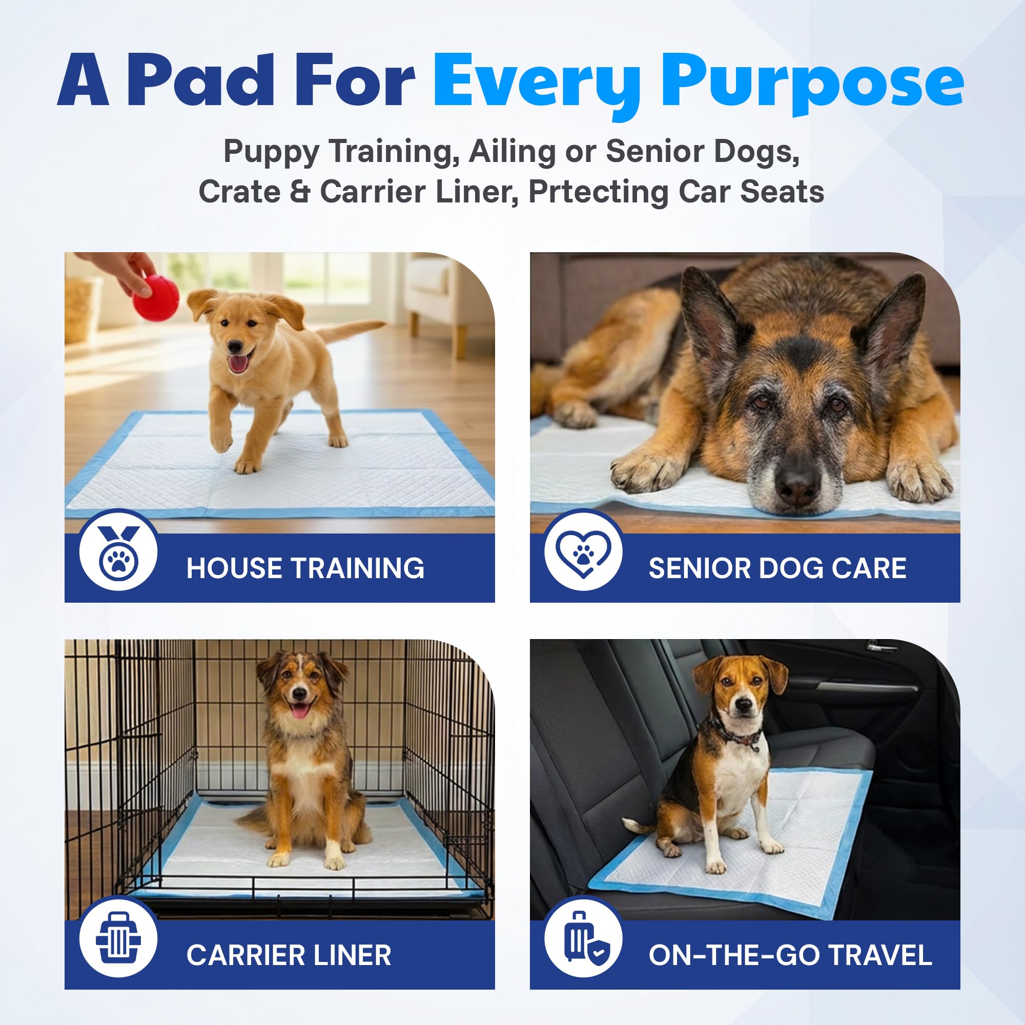 American Kennel Club pad placed in kitchen lifestyle scene reducing indoor odors