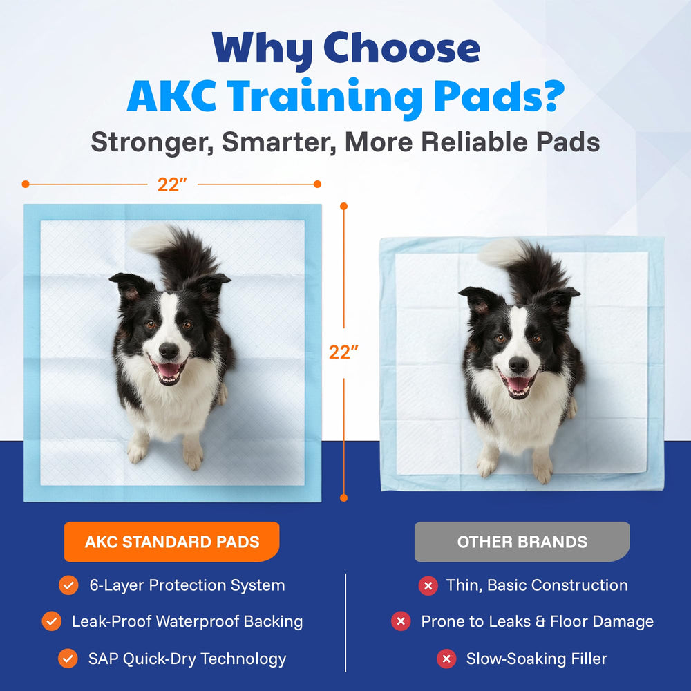 American Kennel Club pad next to ruler showing 22 by 22 inch size