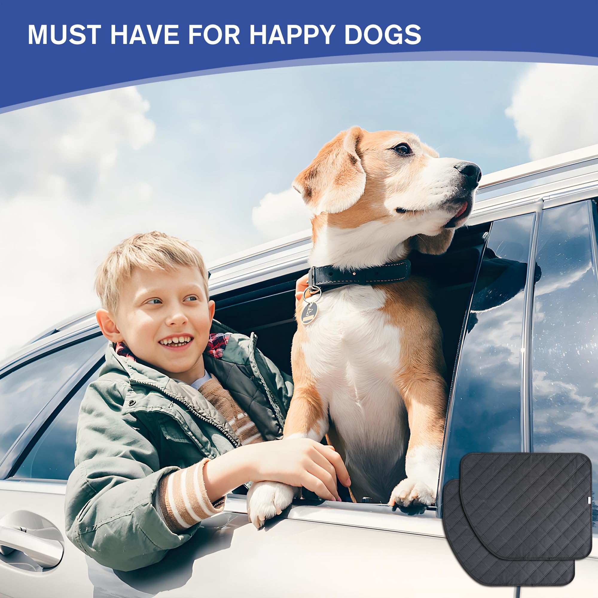 ALLANSING ambiente lifestyle coche limpio tras paseo con perro