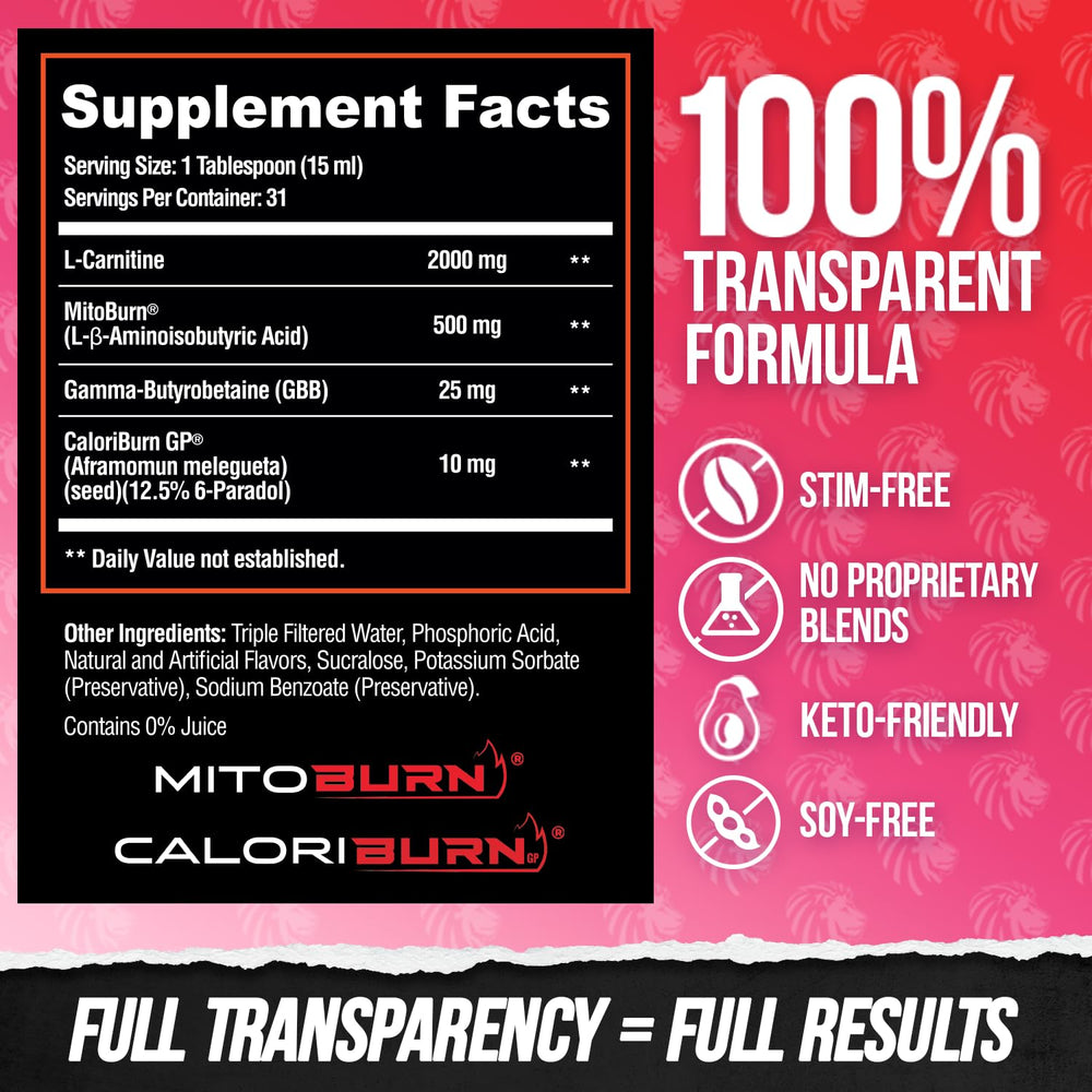 ALPHA LION Burn2O served before workout demonstrating clean boost