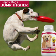 Amazing Nutritionals chews texture close-up highlighting soft chew benefit