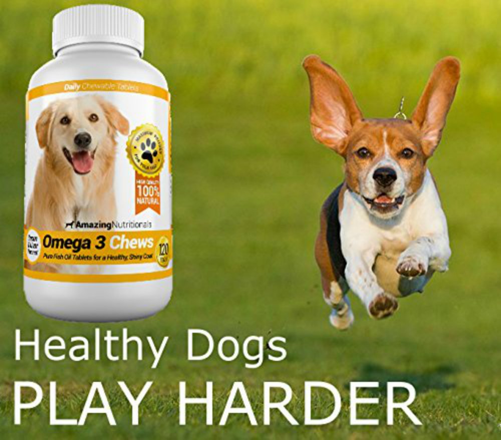 Amazing Nutritionals perro disfrutando el chew bacon sin rechazo