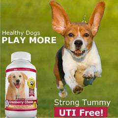 Amazing Nutritionals chew next to ruler showing size and easy dosing