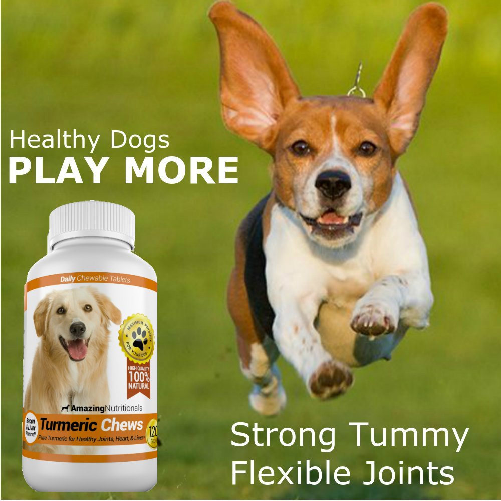 Amazing Nutritionals perro disfrutando la masticable aceptación y conveniencia