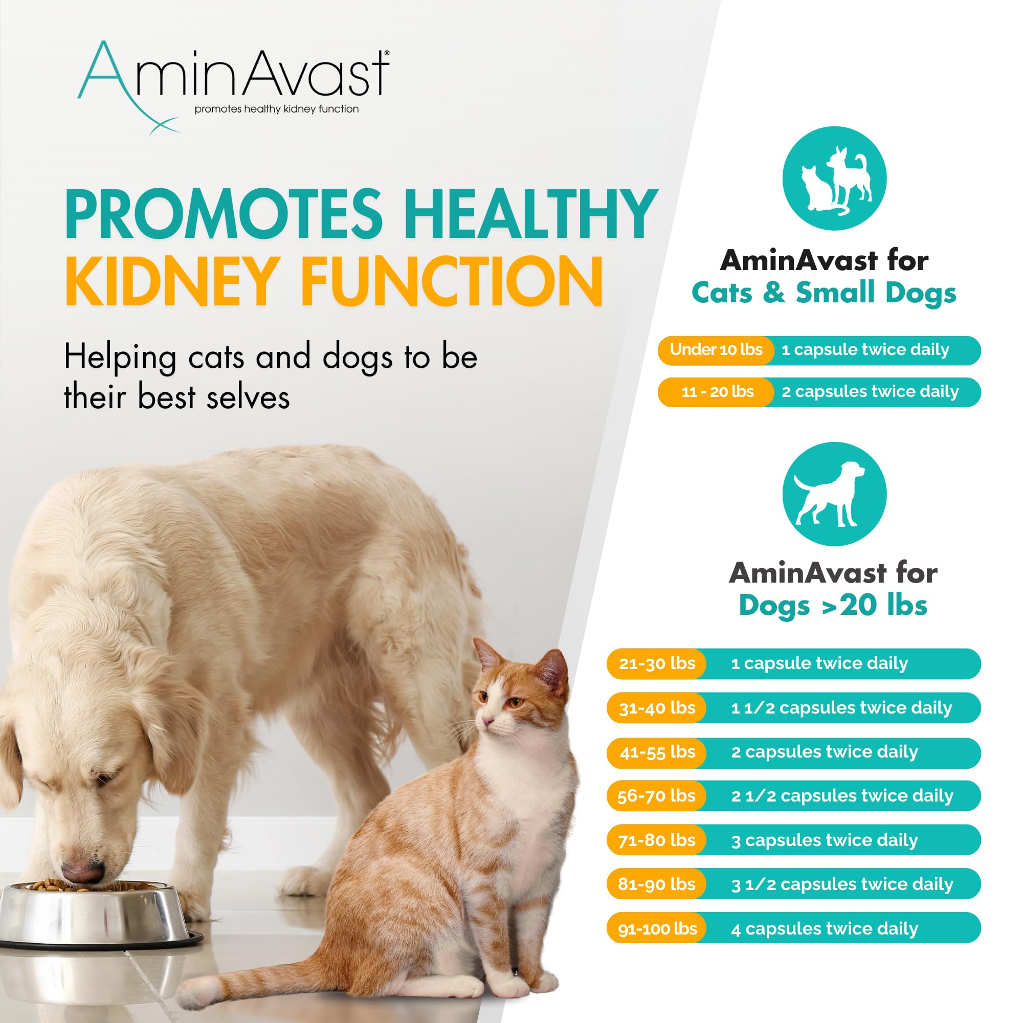 AminAvast en consultorio veterinario demostrando uso recomendado