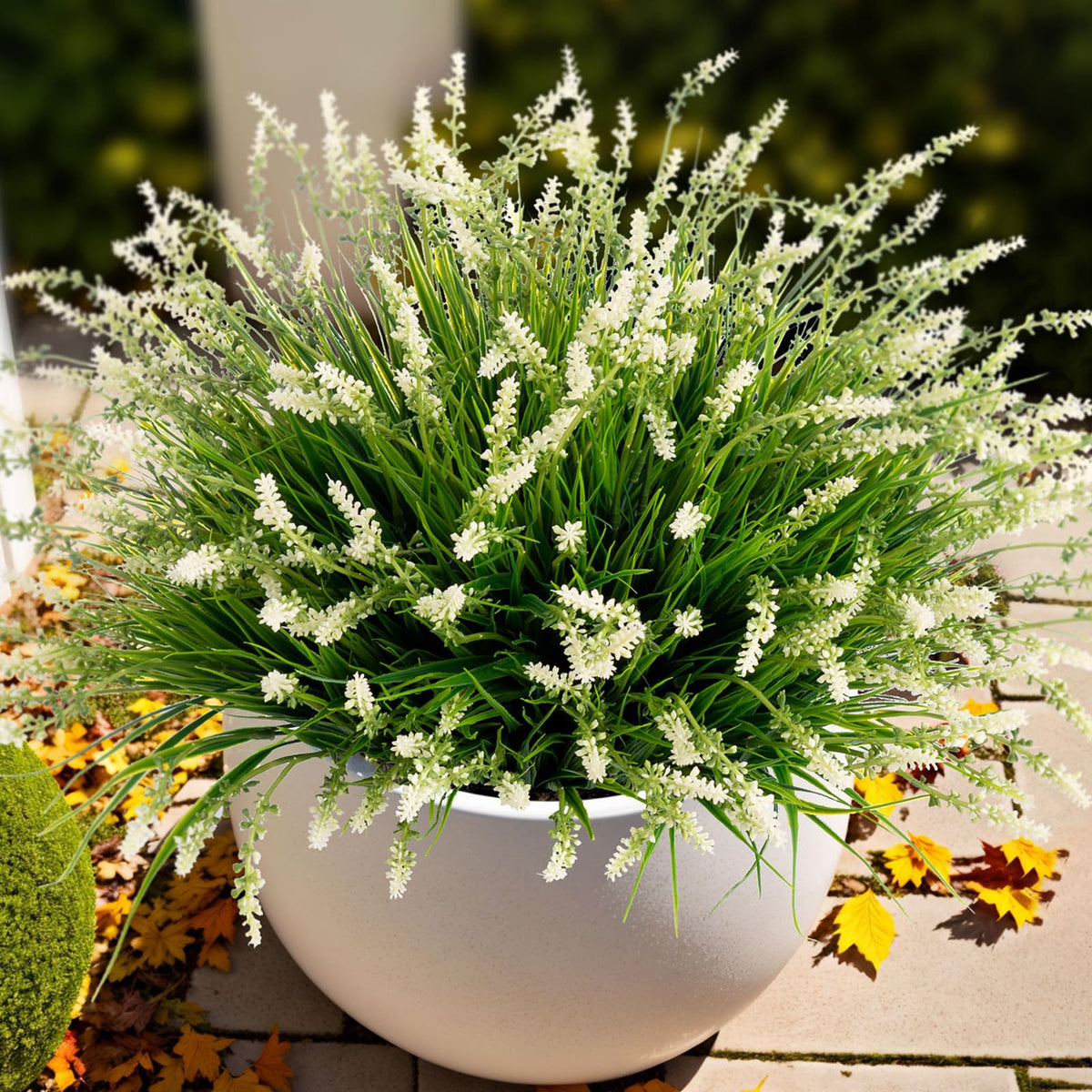 Ammyoo empaque frontal mostrando 12 manojos, ideal para decorar porches