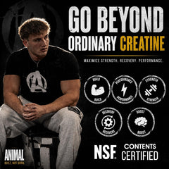 Animal creatine bebida preparada mostrando disolución rápida y sin grumos