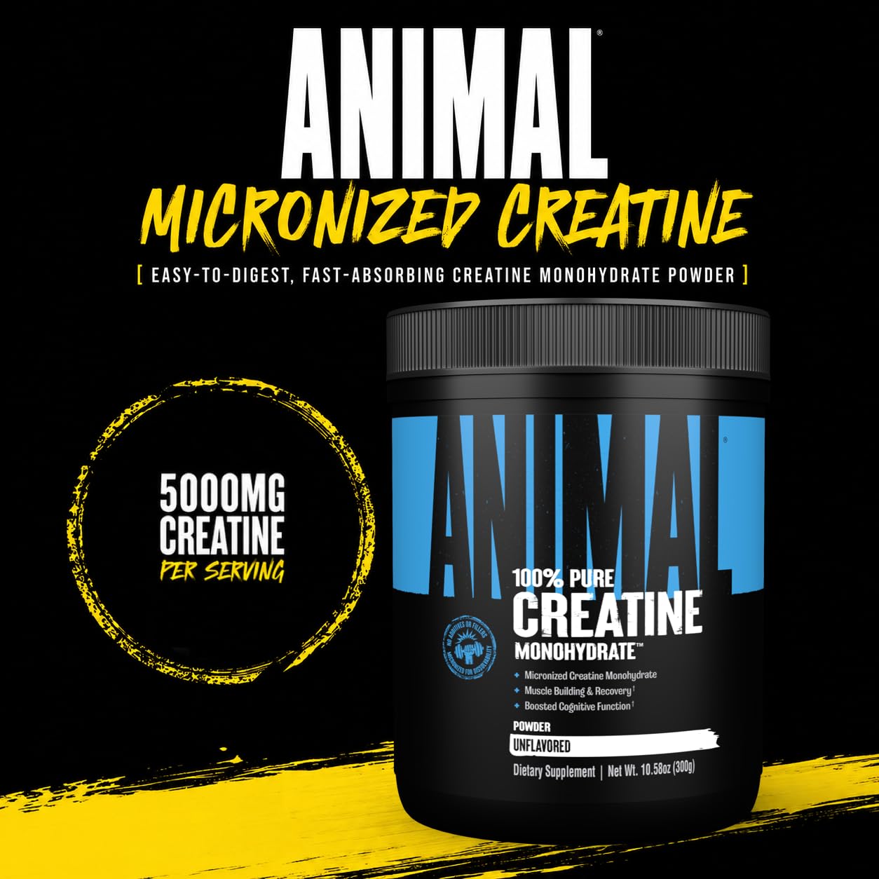 Animal creatine primer plano del polvo micronizado para fácil mezcla
