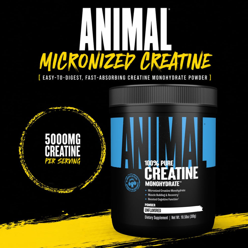 Animal creatine primer plano del polvo micronizado para fácil mezcla
