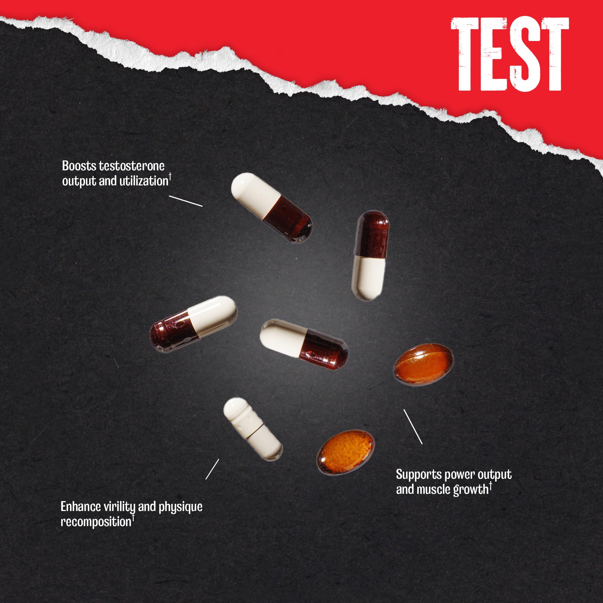 Animal Test etiqueta con ingredientes y sello GMP demostrando calidad