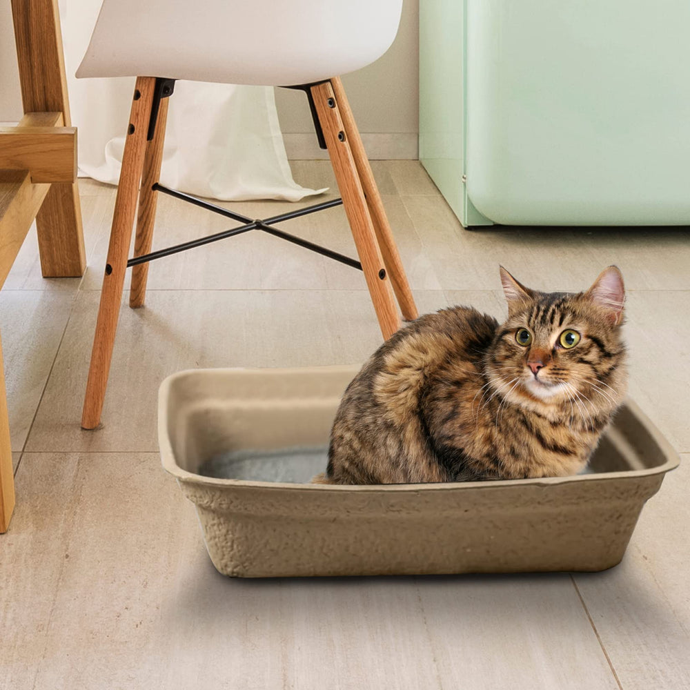 Animaru tray placed in home setting highlighting convenience