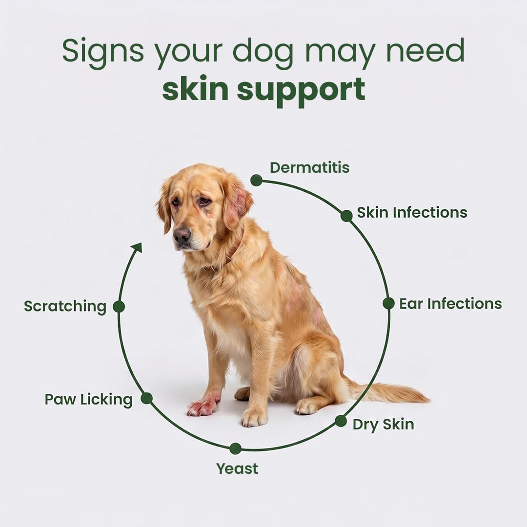 Aniwell DermaPrex detalle del masticable sabor salmón atractivo para perros