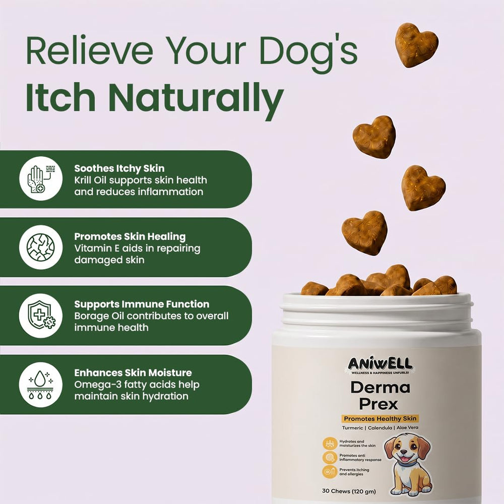 Aniwell DermaPrex perro comiendo muestra aceptación y facilidad de uso
