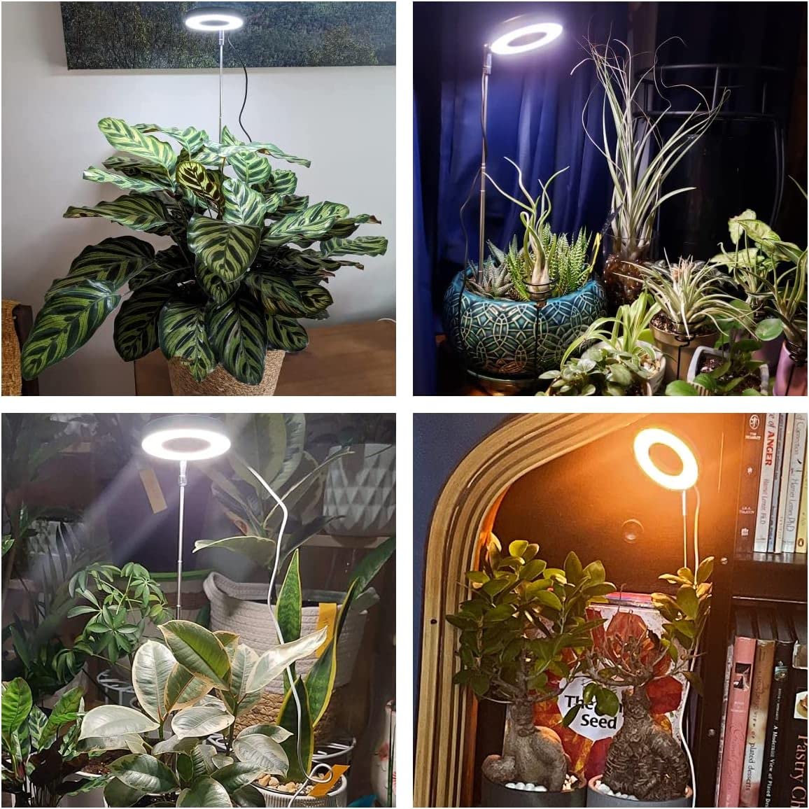 Aokrean detalle del aro LED mostrando la textura y eficiencia lumínica