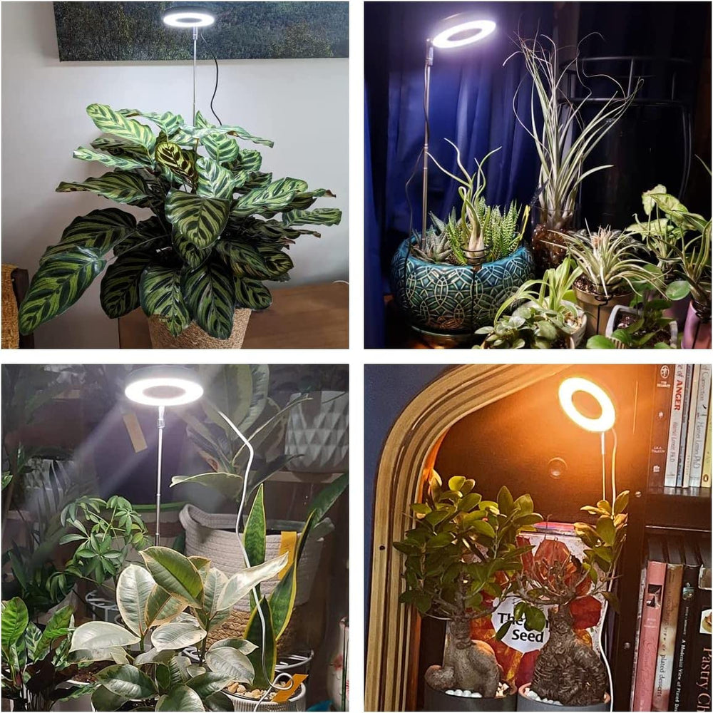 Aokrean detalle del aro LED mostrando la textura y eficiencia lumínica
