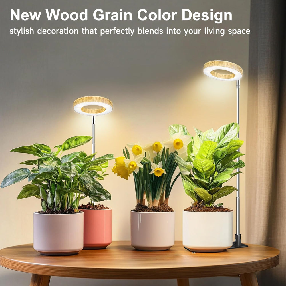 Aokrean lifestyle desk and succulents showing attractive display and healthy light benefit