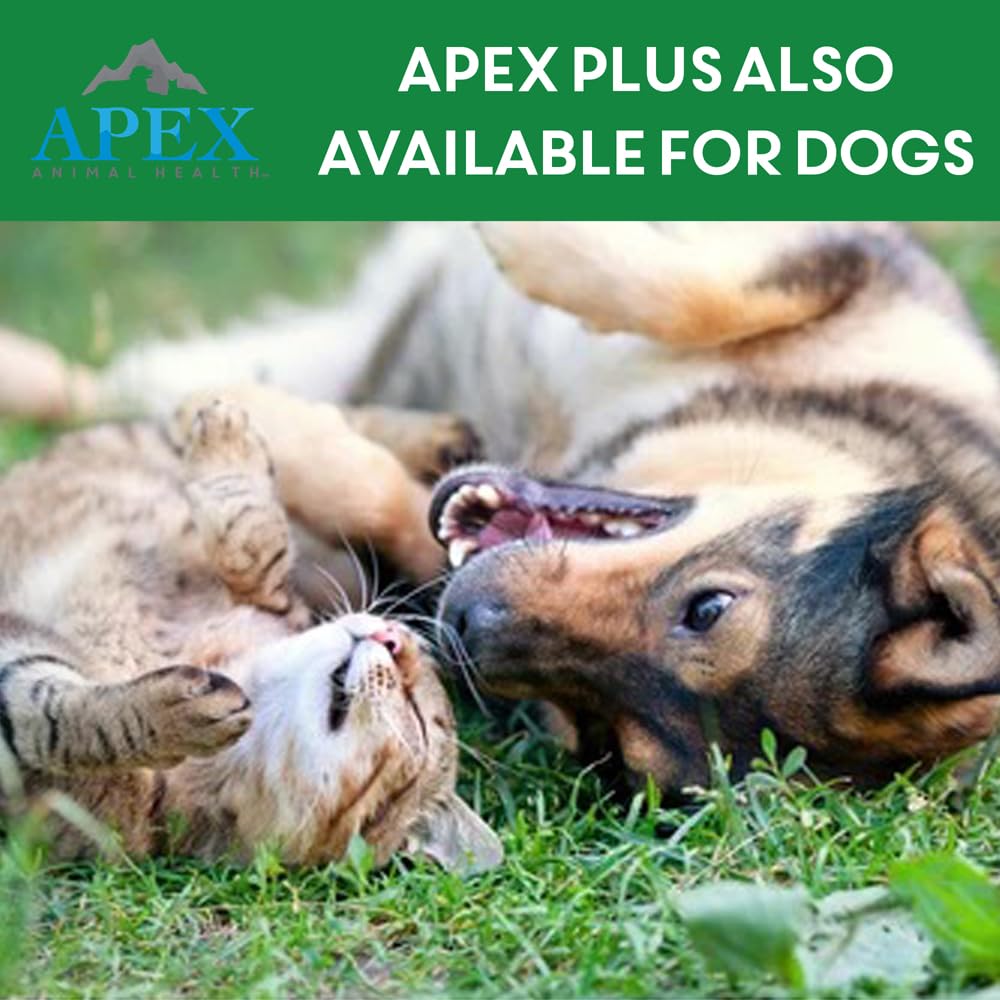 Apex Animal Health ambiente doméstico limpio mostrando protección continua