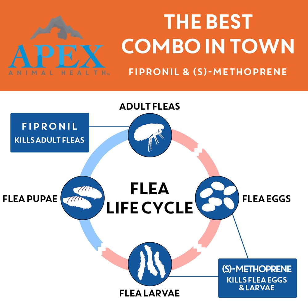 APEX ANIMAL HEALTH aplicación en cuello de perro pequeño para seguridad y eficacia