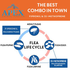 APEX ANIMAL HEALTH aplicación en cuello de perro pequeño para seguridad y eficacia