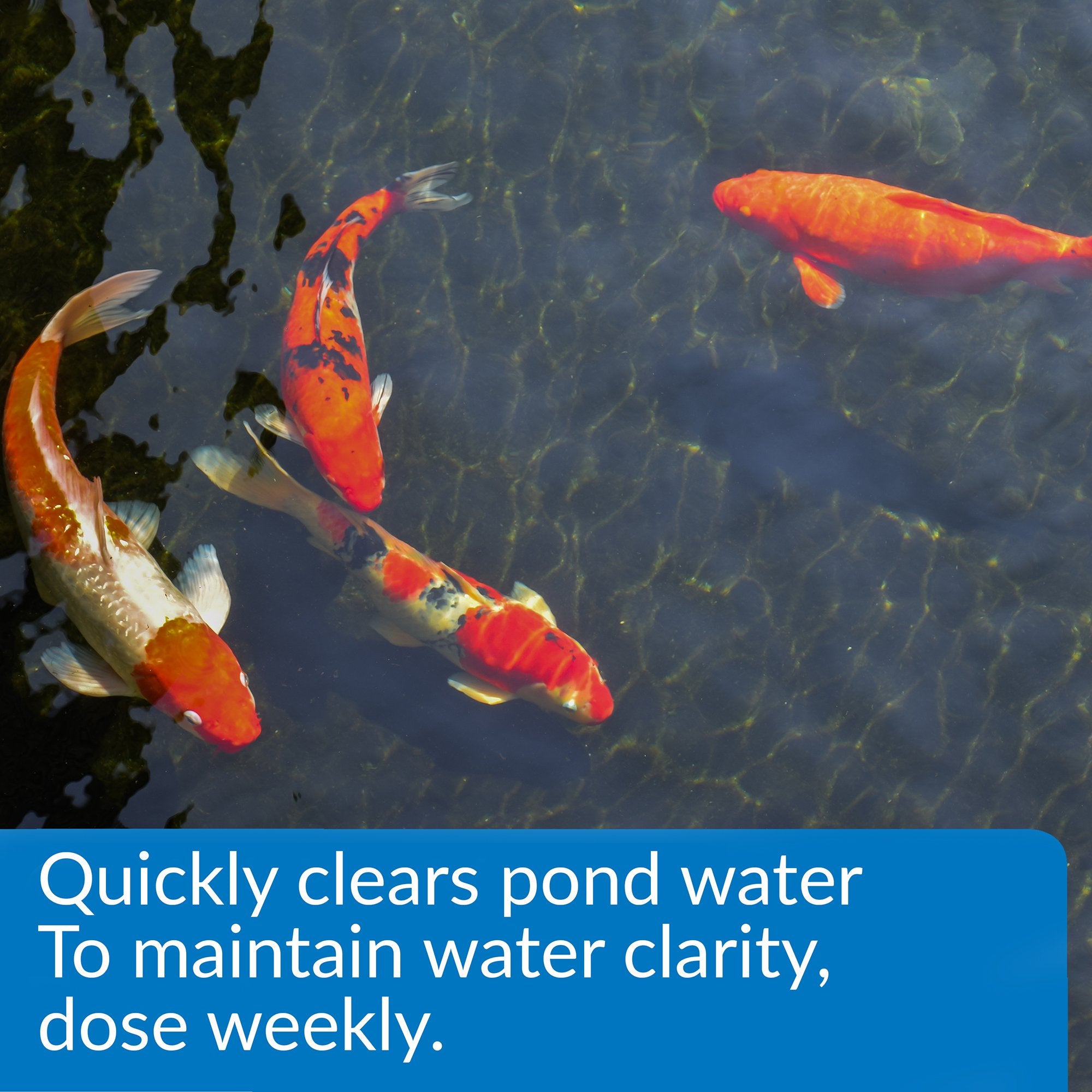 API accu-clear measuring close-up illustrating accurate dosing