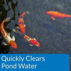 API accu-clear being poured into pond to quickly clarify water