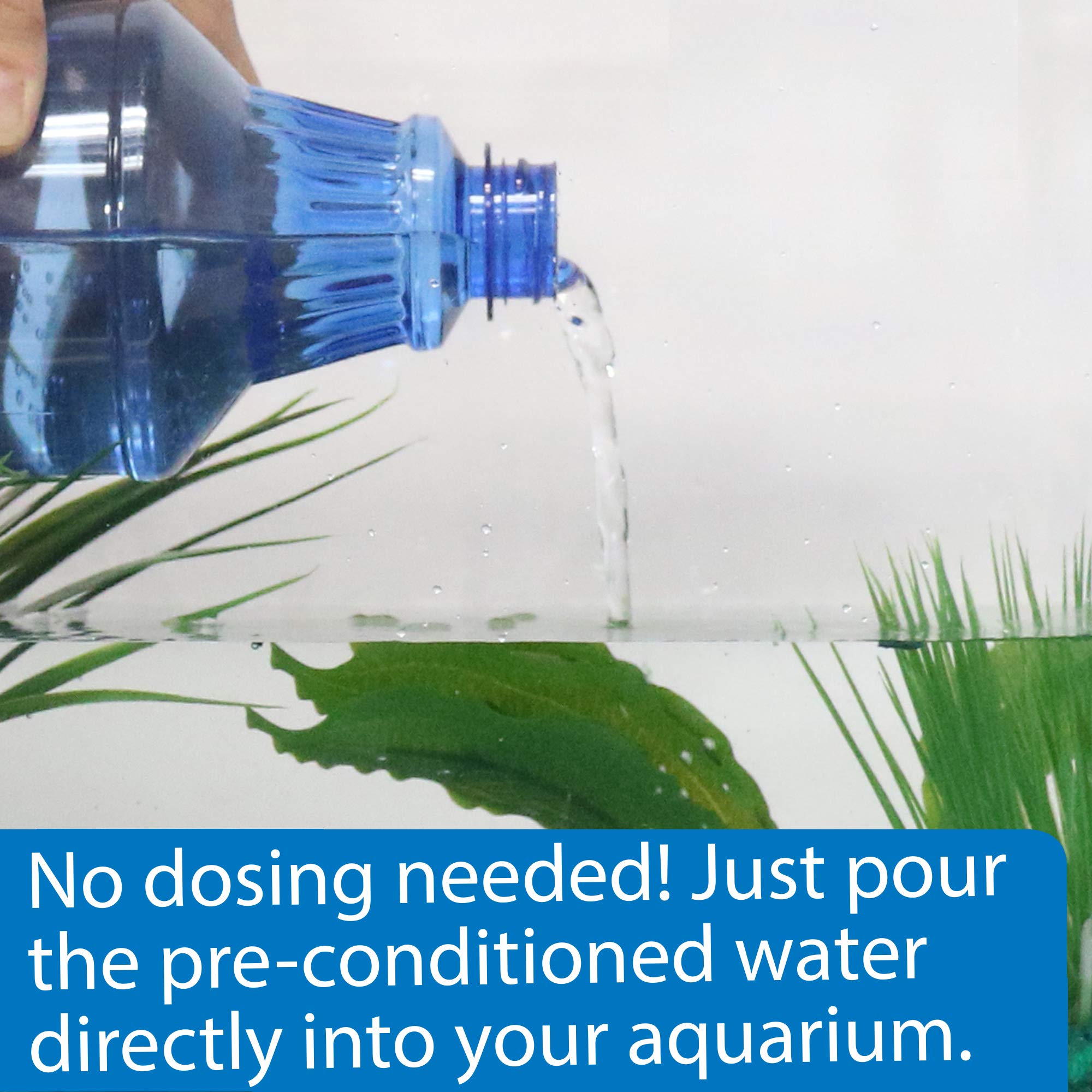 API Betta Water vertiéndose en un cuenco con betta, facilita incorporación inmediata